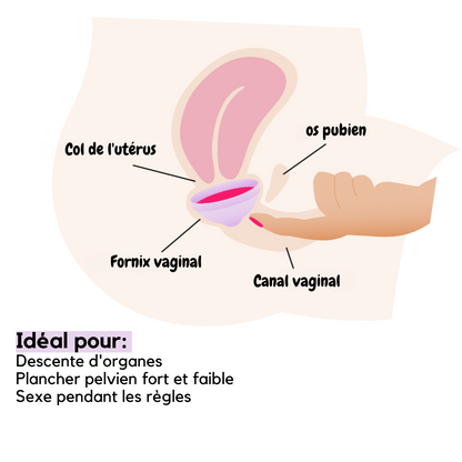femdisc menstrual disc (no tab)