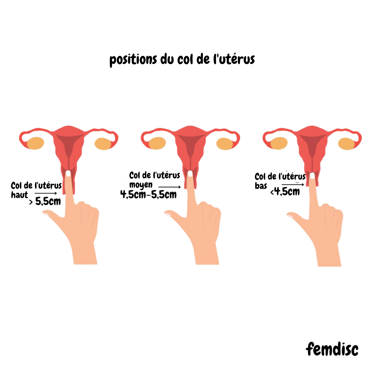 femdisc menstrual disc (no tab)
