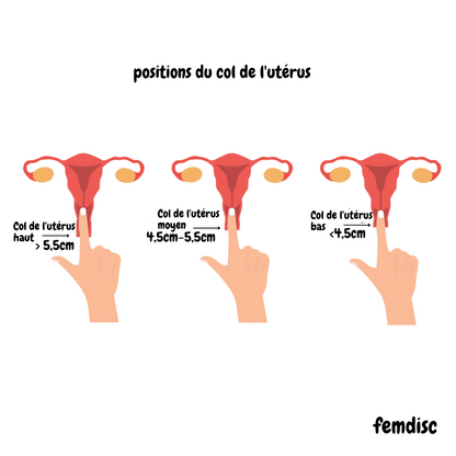 femdisc menstrual disc (no tab)
