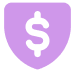 100% secure payment